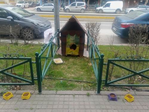 Soğuk havada onları unutmuyorlar