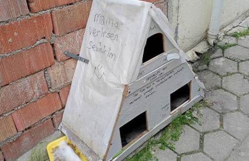 Soğuk kış günlerinde sokak hayvanlarına mama ve su desteği