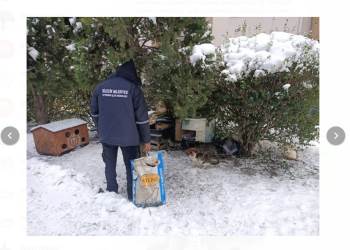 Soğuk Ve Karlı Havalarda Sokak Hayvanları Mamasız Ve Susuz Bırakılmıyor
