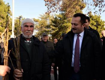 Söğüt’Te 10 Bin 400 Sertifikalı Ceviz Fidanı Dağıtıldı
