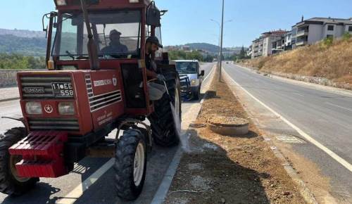 Söğüt’te refüjler yenileniyor: Temizlik ve ilaçlama devam ediyor