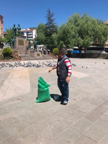 Sokağa Çıkma Yasağında Sokak Hayvanlarının Beslenmesini Üstlendiler
