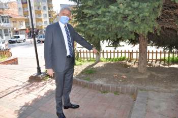 Sokak Dostlarına Zehirli Saldırı
