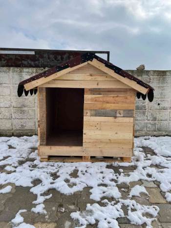 Sokak Hayvanları ‘Bizim Sokağın Çocukları’ Projesiyle Güvende Olacak
