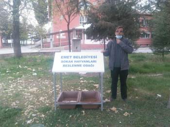 Sokak Hayvanları İçin Beslenme Odakları Yapılıyor
