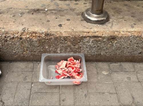 Sokak hayvanları için bırakılan çiğ et ve kemikler risk taşıyor