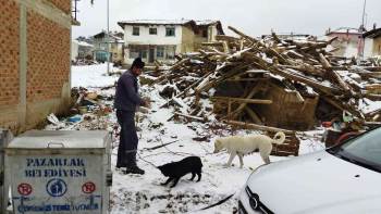 Sokak Hayvanları İçin Doğaya Yem Bırakıldı
