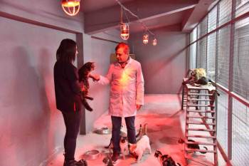 Sokak Hayvanları İçin Isıtıcı Kuruldu
