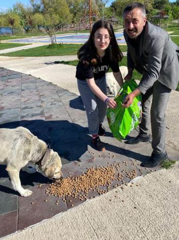 Sokak Hayvanları İçin Kenttin Dört Bir Noktasına Mama Bıraktı
