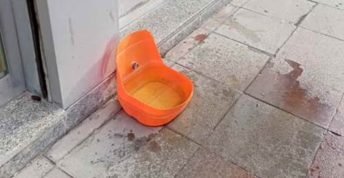 Sokak hayvanları için örnek davranış