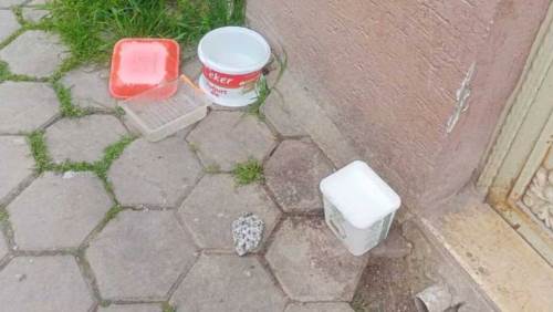 Sokak hayvanları için örnek uygulama