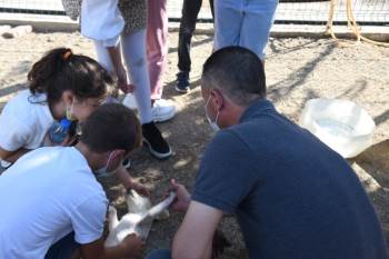 Sokak Hayvanları Tedavi Ve Rehabilitasyon Merkezine Ziyaretçi Akını
