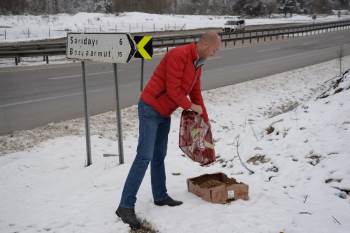 Sokak Hayvanları Unutulmadı
