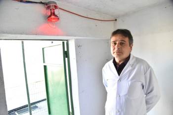 Sokak Hayvanları Üşümesin Diye Barınakların İçine Isıtıcılar Konuldu
