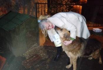 Sokak Hayvanlarına Bahçesinde Bakıyor
