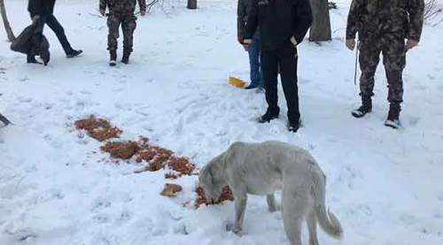 Sokak hayvanlarına polis merhameti