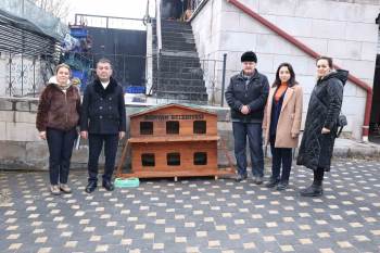 Sokak hayvanlarına sıcak yuva: Bünyan’da kulübe desteği