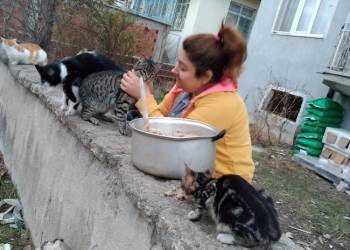 Sokak Hayvanlarını Evinin Bahçesinde Besliyor
