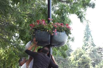 Sokaklar Çiçeklerle Ayrı Bir Güzelleşiyor
