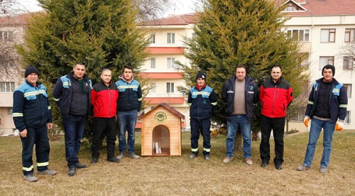 Sokaktaki dostlarımızın yuvaları çoğalıyor