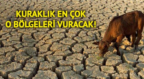 Son 44 yıldır böylesi görülmedi!
