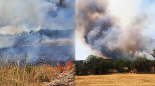 Son dakika... Eskişehir'de orman yangını