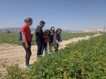 Stajyer Öğrenciler Ürün Analizi Yaptı
