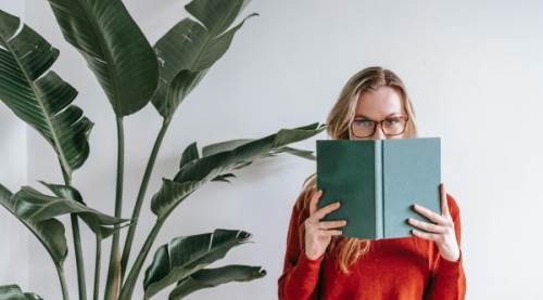 Starliçede Un Biti Neden Olur, Nasıl Temizlenir ve Dikkat Edilmesi Gerekenler