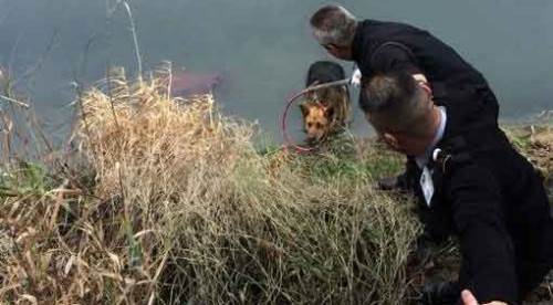 Su kanala düşen köpek böyle kurtarıldı