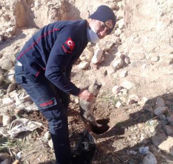 Su Kuyusuna Düşen Köpek, İtfaiye Ekiplerince Kurtarıldı
