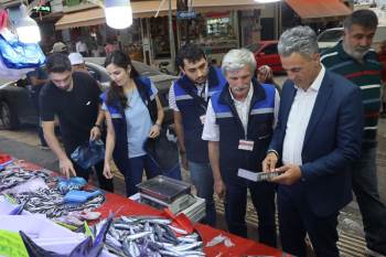 Su Ürünleri Denetimleri Sayesinde Taze Balıklara Ulaşmak Daha Kolay
