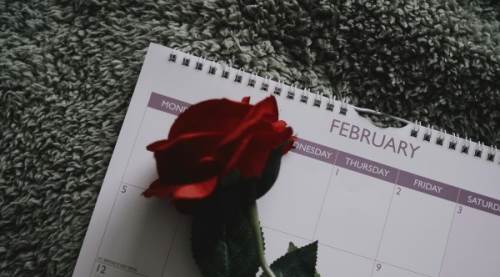 Şubat Ayı Kaç Gün? (2026)  Şubat 28 Gün mü Çekiyor, Artık Yıl Nedir? Tüm Merak Edilenler