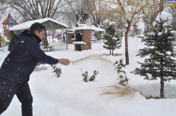 Şuhut Belediyesi Sokak Hayvanlarını Unutmadı
