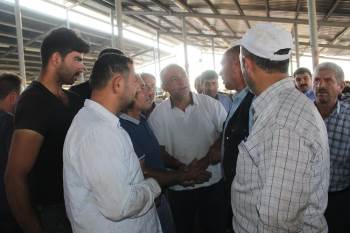 Şuhut Hayvan Borsası’Nda Kurban Pazarı Hareketliliği
