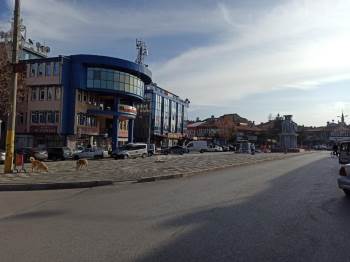 Şuhut Kısıtlamaya Uydu, Boş Kalan Caddeler Sokak Hayvanlarına Kaldı
