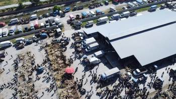 Şuhut Kurban Pazarında Hareketlilik Başladı
