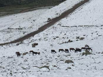 Şuhut’Ta Kar Yağışı
