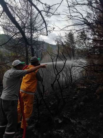 Şuhut’Tan Giden Ekip Datça’Da Cansiperane Çalıştı
