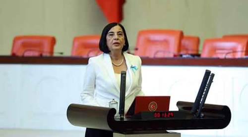 Süllü hekimlerin sesi olacak