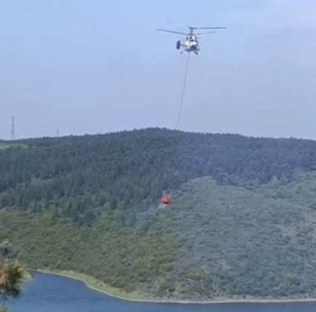 Sultangazi’de kent ormanında yangın paniği