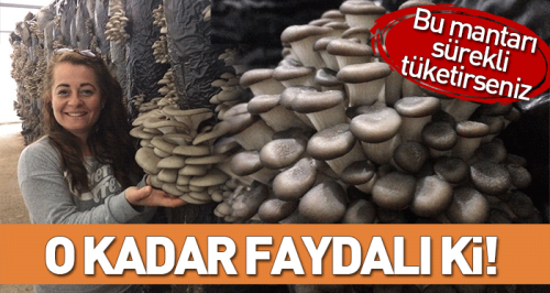 Sürekli tüketilirse inanılmaz faydası var