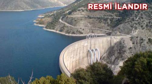 Sürücülü araç kiralama hizmeti alınacaktır