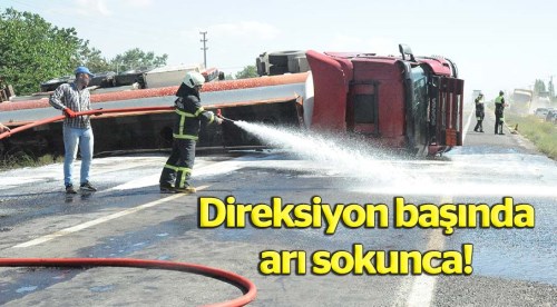 Sürücüyü arı sokunca tanker devrildi