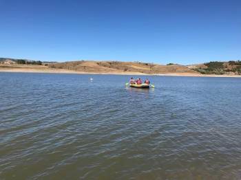 Sürüden Ayrılan Koyun Baraj Suyunda Mahsur Kaldı
