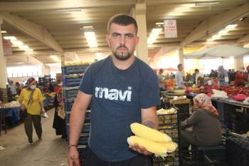 Süt Mısıra İlgi Büyük
