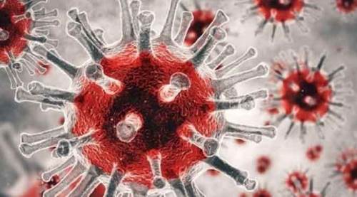 Tablo korkutuyor: Vaka sayısı ve can kaybı artmaya devam ediyor!