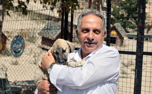 Talas Belediyesi’nden önemli proje: Gıda atıkları patili dostlara can olacak