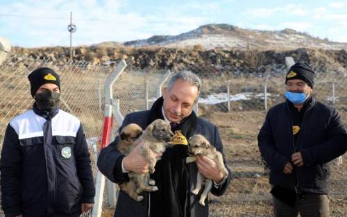 Talas Pati Evi, can dostlara yeni bir yuva sunuyor