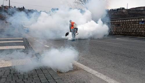 Talas'ta çevre dostu ilaçlama: Haşeratın üremesi engelleniyor