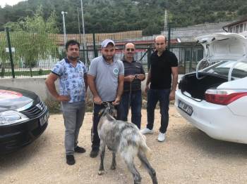 Tam 10 gün sonra bulundu!